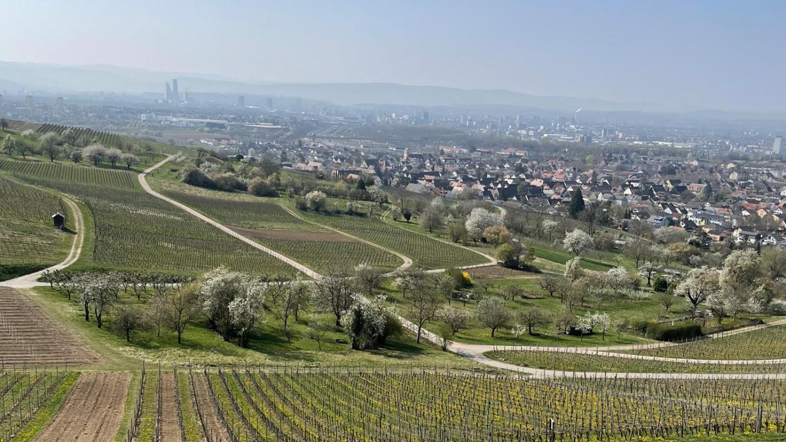Landgasthof Rebstock Weil Am Rhein / Basel Luaran gambar