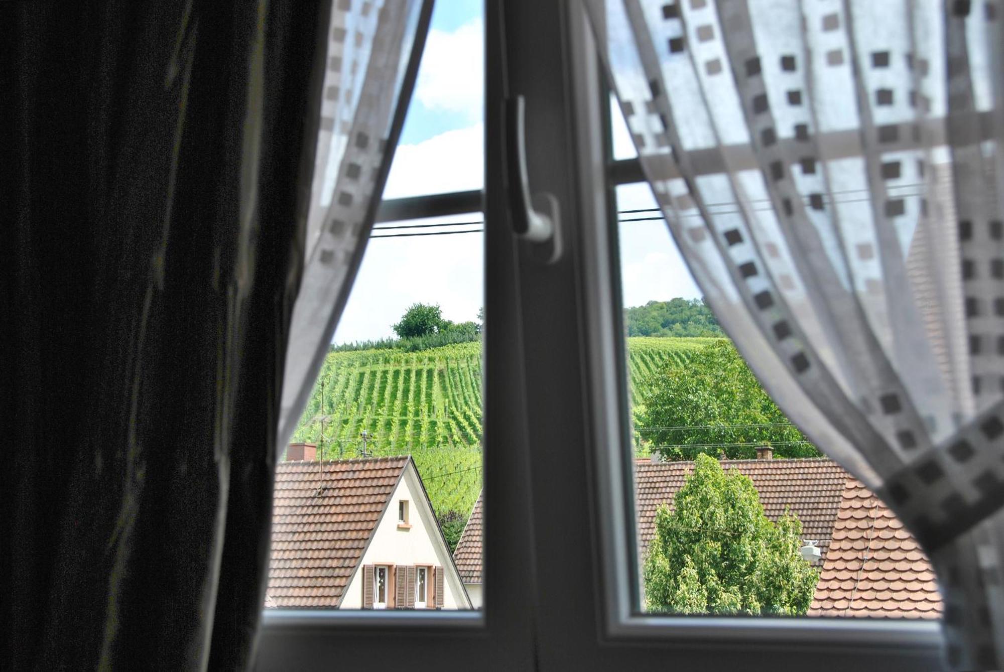Landgasthof Rebstock Weil Am Rhein / Basel Luaran gambar